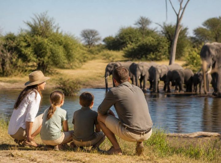 Voyage famille Botswana : pourquoi Hors Pistes afrique australe est un excellent choix pour un safari sur mesure