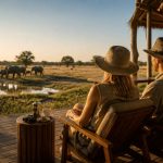 Prix safari botswana : combien coûte un séjour complet ?