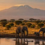 Les plus beaux paysages à découvrir lors d’un voyage au kenya