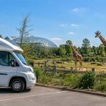 Parking camping-car au zoo de Beauval : conseils et informations pratiques