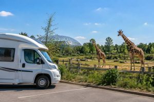 Parking camping-car au zoo de Beauval : conseils et informations pratiques