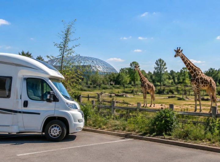 Parking camping-car au zoo de Beauval : conseils et informations pratiques